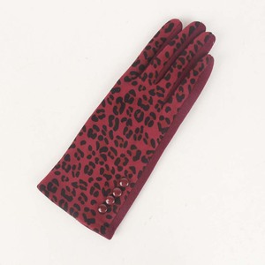 Ladies Gloves