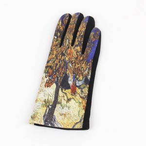 Ladies Gloves