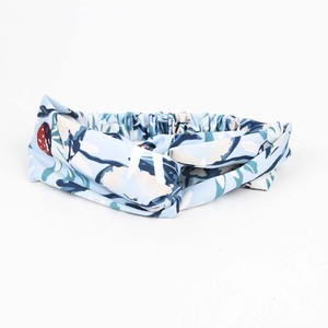 Hair Band