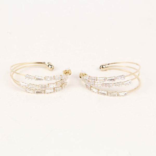 Ladies Hoop Earrings