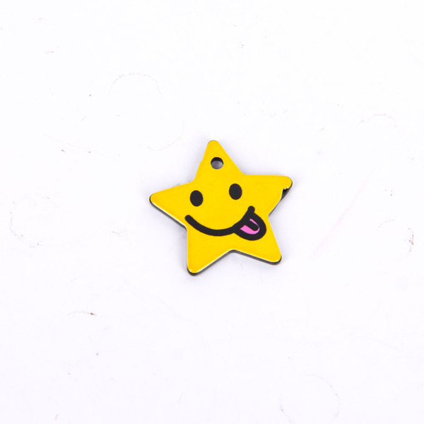Ladies Brooch