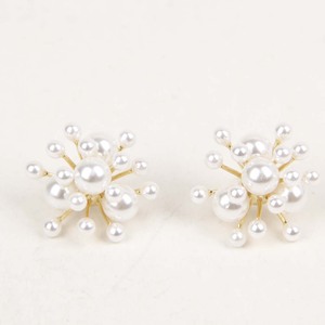 Ladies Earrings