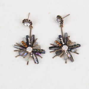 Ladies Earrings