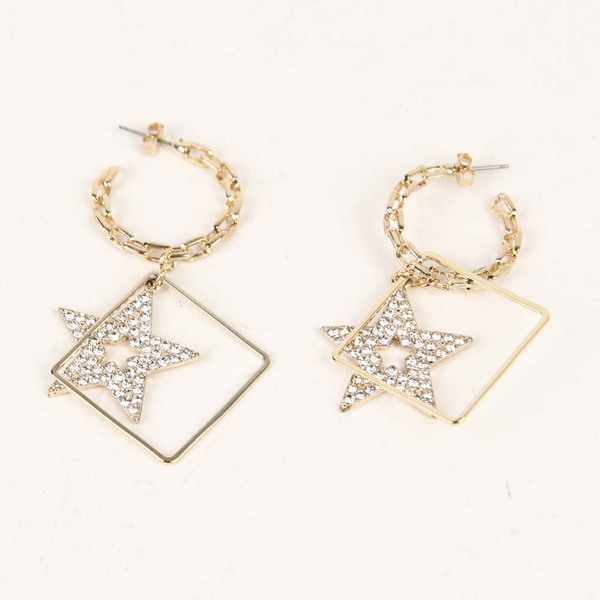 Ladies Earrings