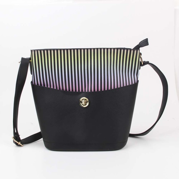 ladiesbag
