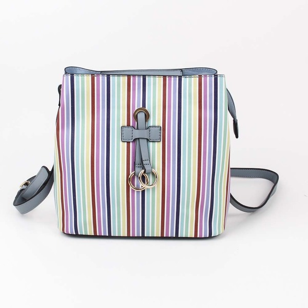 ladiesbag