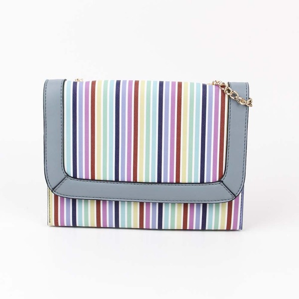 ladiesbag
