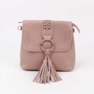 ladiesbag