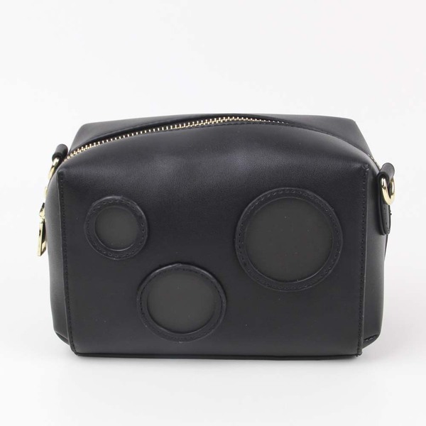 ladiesbag