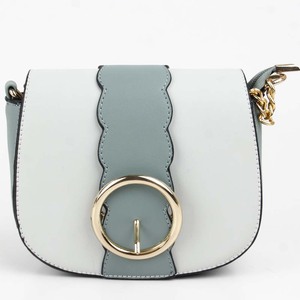 ladiesbag