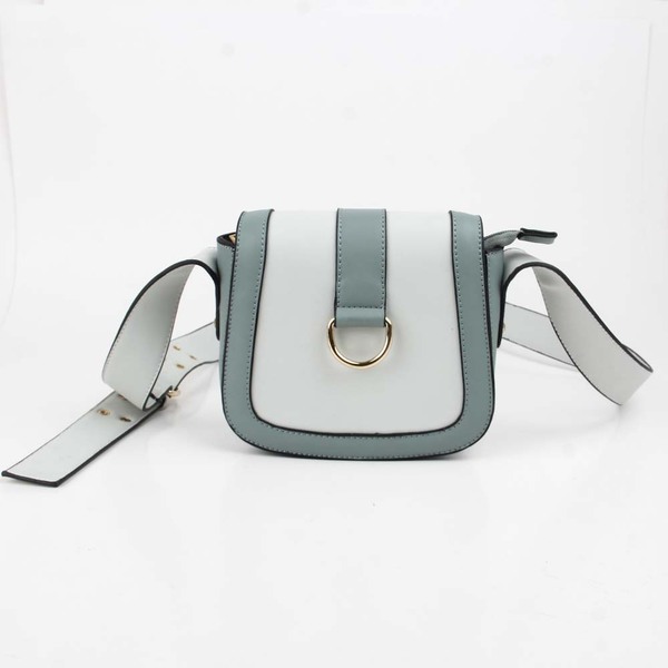 ladiesbag