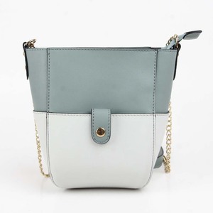 ladiesbag