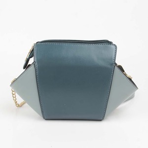 ladiesbag