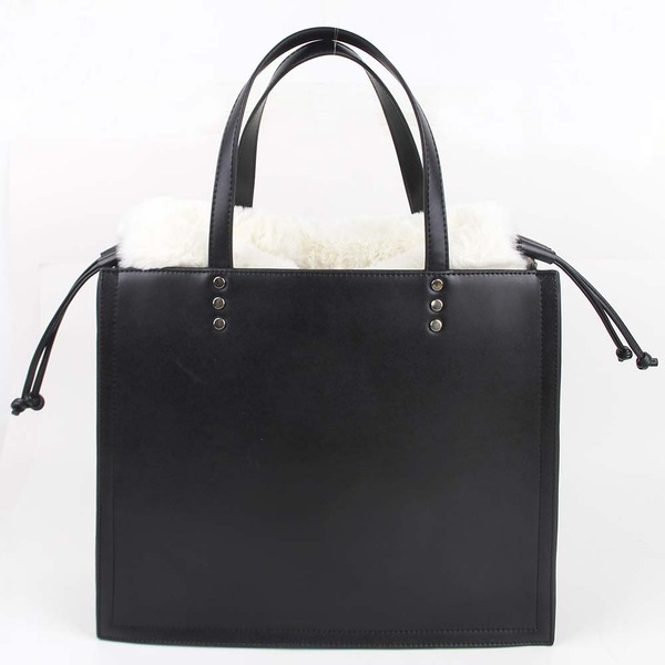 ladiesbag