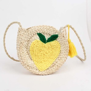 ladies bag