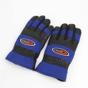 Man Ski Gloves