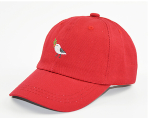 Girls Baseball Cap