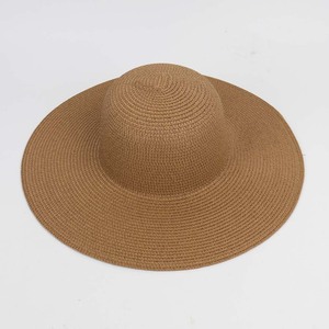 Ladies Straw Hat