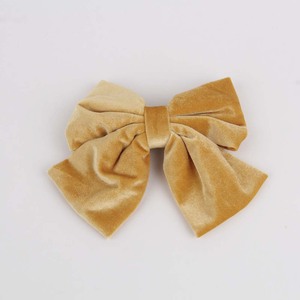 Hair Clip