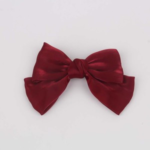 Hair Clip