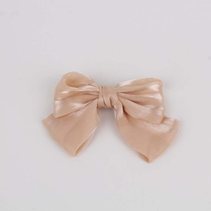 Hair Clip