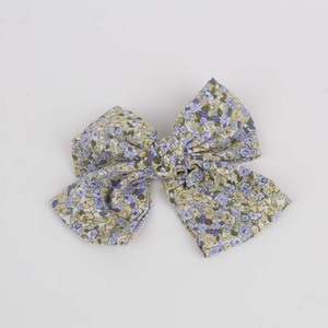Hair Clip