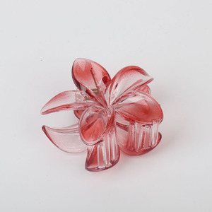 Hair Claw